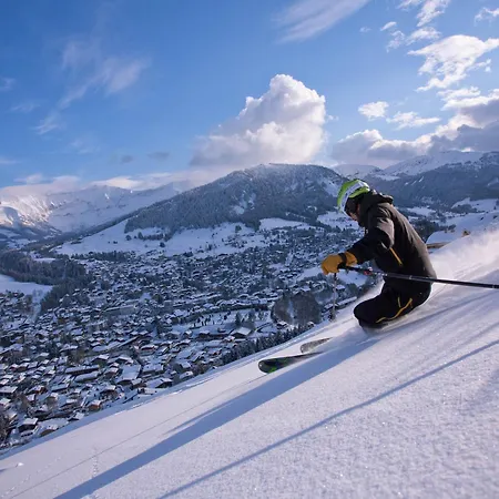 Cosy 2p A Jaillet - Proche Pistes, Wi-fi, Parking, Animaux Acceptes - Fr-1-453-91 Megeve